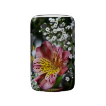 Peruvian Lily Gyp flower Blackberry Bold Case casemate cases