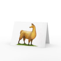 Peruvian Llama cards
