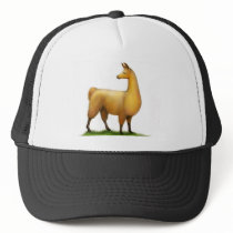Peruvian Llama Hat