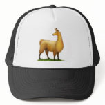 Peruvian Llama Hat