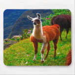 Peruvian Llama - Mousepad