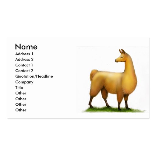 Peruvian Llama Profile Card Business Cards (front side)