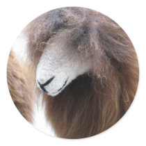 Peruvian puppet. round sticker