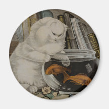 Pesca del gato persa imán