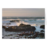 Pescadero Beach Gulls and Waves Card