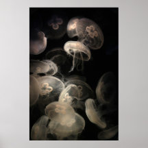 Pescados de jalea posters