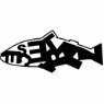 Pescetarian Photosculpture