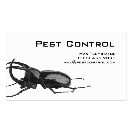 Pest Control Business Card Cockroach