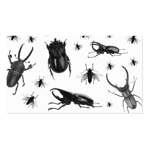 Pest Control Business Card Cockroach Flies