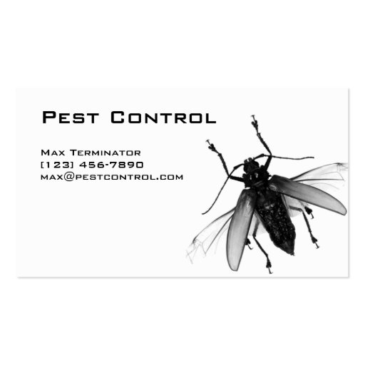 Pest Control Business Card Fly