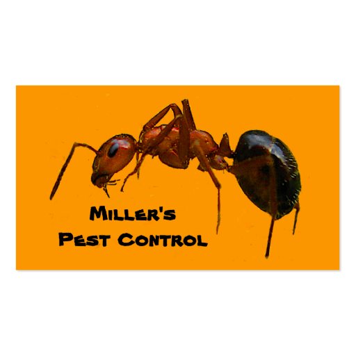 Pest Control Business Card Template (front side)