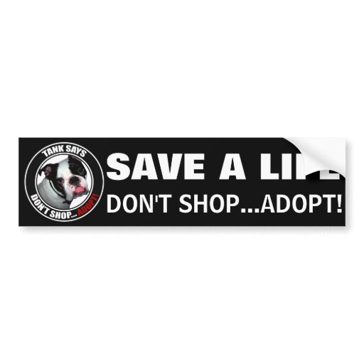 Pet Adoption Dont Shopadopt Car Bumper Sticker Zazzle