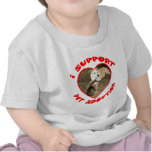 Pet Adoption Kitten With Pit bull Pet Adoption Kitten With Pit bull