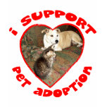 Pet Adoption Kitten With Pit bull Pet Adoption Kitten With Pit bull