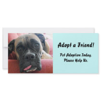 Pet Adoption Rack Card
