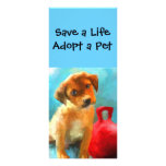 Pet Adoption Rack Cards