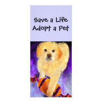 Pet Adoption Rack Cards