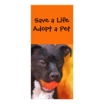 Pet Adoption Rack Cards