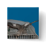 Pet Bird Watcha Doing Pinback Button