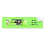 Pet Bloggers? Bumper Stickers