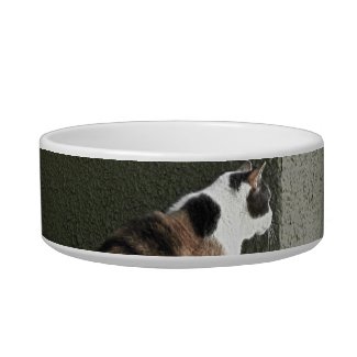 Pet Bowl - Calico Cat or Tortoiseshell Cat petbowl