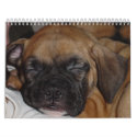 Pet Calendar