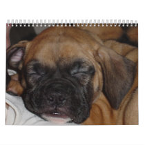 Pet Calendar