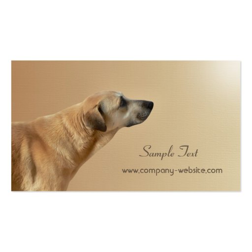 Pet Care and Adoption Business Card