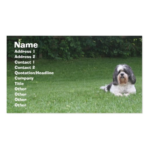 Pet care business card (front side)