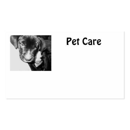 Pet Care Business Card Template