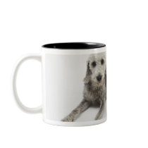Pet care, health and nutrition for domestic pets coffee mugs