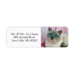 Pet Cat Return Address Labels Stickers