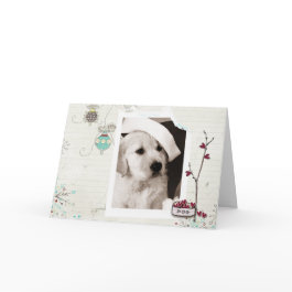 Pet Christmas Photo Card