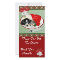 Pet Christmas Photo Card photo cards by ChristmasByDezign Pet Christmas Photo Card photo cards