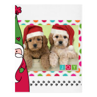 Pet Christmas Photo Card Postcard