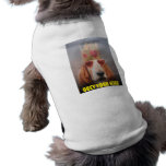 Pet Clothing Obey Your King