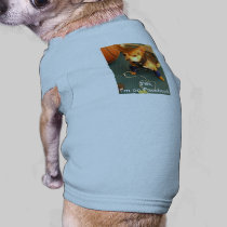 Pet Clothing - Sleeveless pet clothing