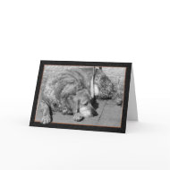 Pet Dog Sympathy Card card