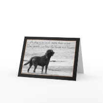 Pet Dog Sympathy Card - Touch Our Hearts