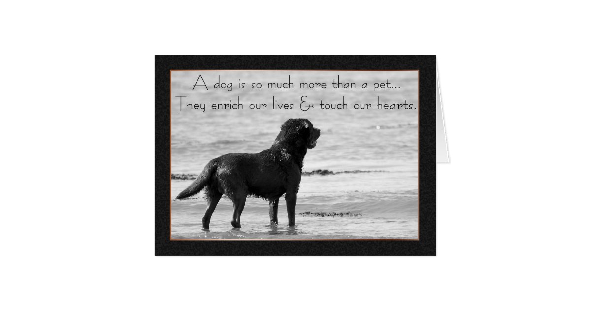 pet dog sympathy card touch our hearts zazzle powerpoint greeting card template