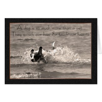 Pet Dog Sympathy Card - Touch Our Hearts