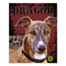 Pet Greyhound Print Photo
