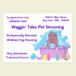 Pet Grooming Appointment And Business Card business cards