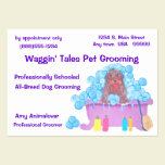 Pet Grooming Appointment And Business Card business cards