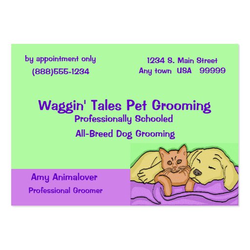 Pet Grooming Appointment Card Large Business Cards (Pack Of 100) Zazzle