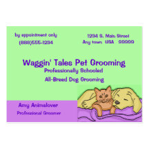 Pet Grooming Appointment Card Business Card