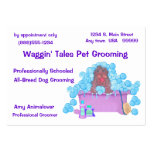 Pet Grooming Business And Appointment Card Business Card