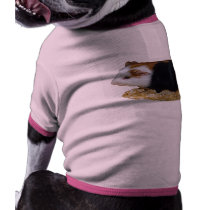 Pet Hamster pet clothing