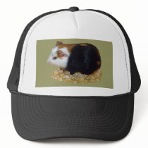 Pet Hamster hats by kphotos Pet Hamster hats