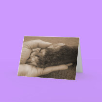 Pet loss cards